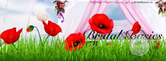 BB Remembrance Day